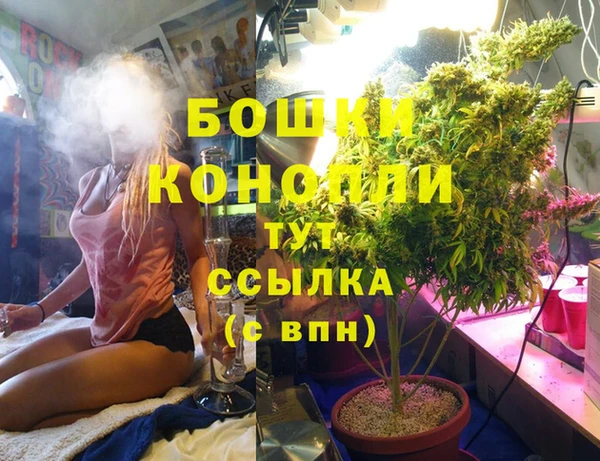 PSILOCYBIN Абдулино