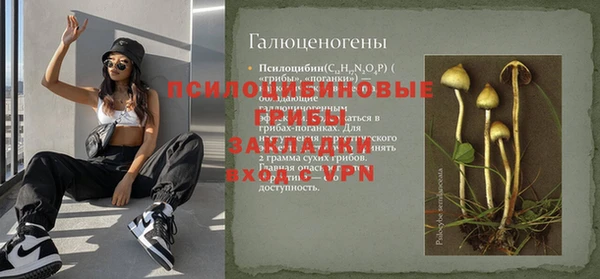 mdpv Воткинск