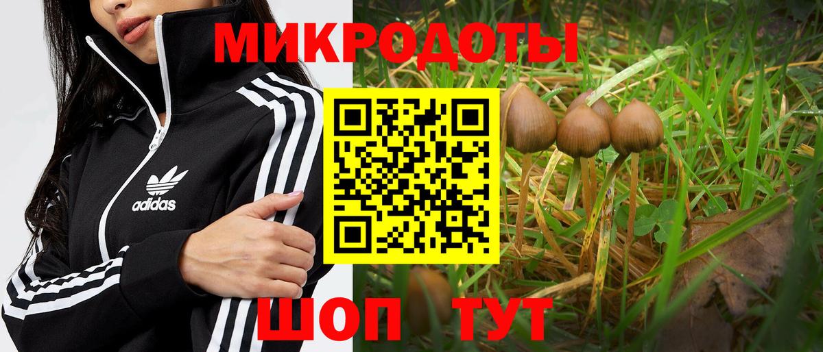 Галлюциногенные грибы мухоморы Касимов