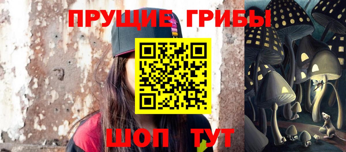 Галлюциногенные грибы GOLDEN TEACHER  Вход с VPN  Касимов  Псилоцибиновые грибы Magic Shrooms 
