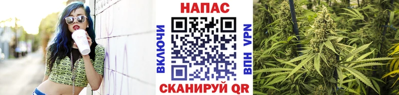 Конопля SATIVA & INDICA  продажа наркотиков  Касимов 
